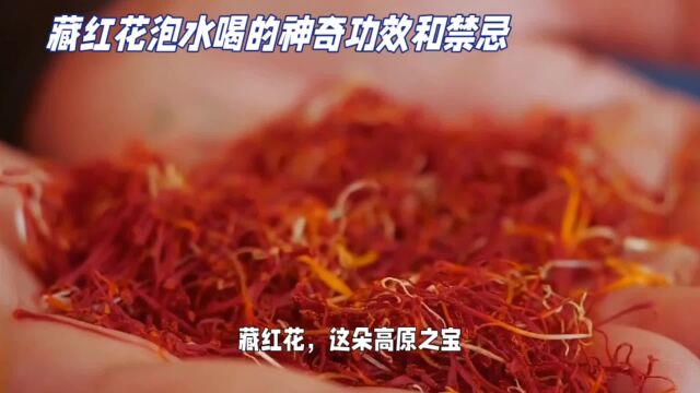 女性福音!藏红花泡水喝的神奇功效,作用及禁忌的全面解析!