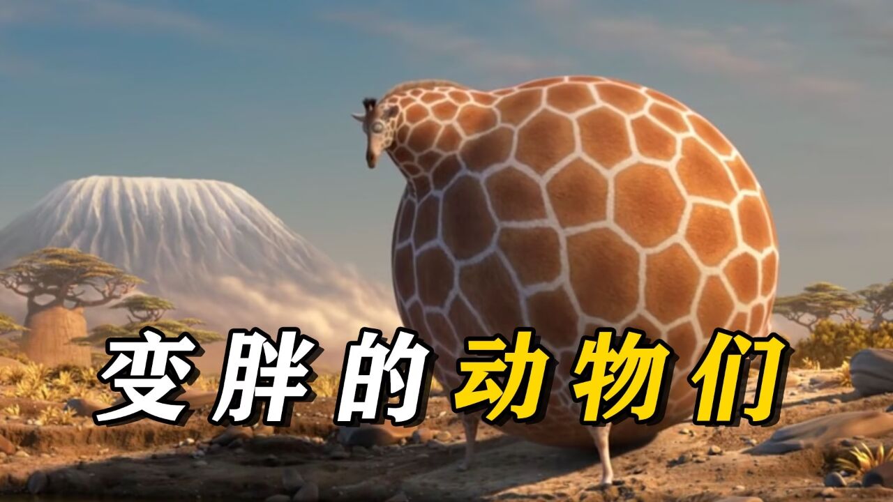 假如动物们都变胖，世界会是什么样_高清1080P在线观看平台_腾讯视频
