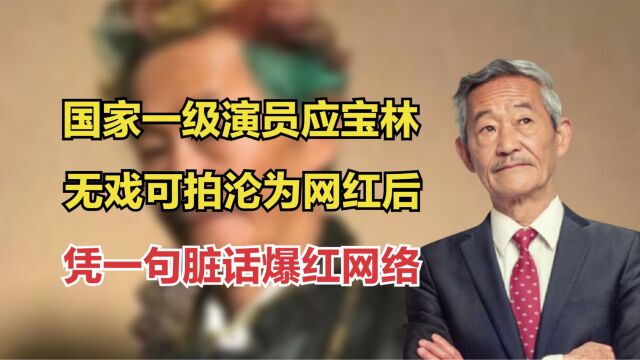 国家一级演员应宝林:无戏可拍沦为网红后,凭一句脏话爆红网络!