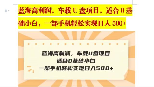 蓝海高利润,车载U盘项目,适合0基础小白,一部手机轻松实现日入500+