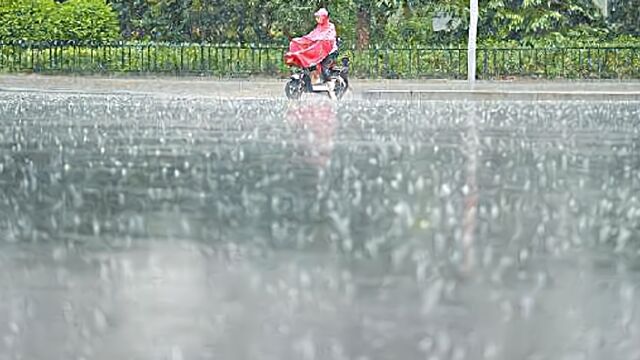 上海“暴雨+雷电”双黄预警,全市启动防汛防台三级响应