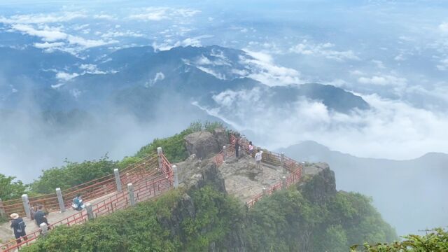 徒步峨眉山9:终于从报国寺一步一步走上了海拔3079米的金顶