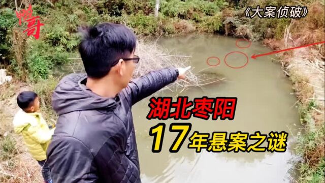 湖北枣阳17年悬案之谜