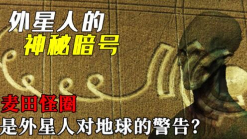 麦田怪圈是外星人的杰作?他们传递的信息:我们是智慧生命 第64张 麦田怪圈是外星人的杰作?他们传递的信息:我们是智慧生命