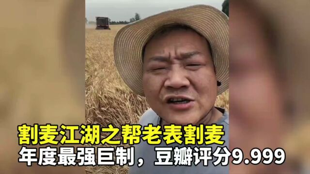 《割麦江湖之帮老表割麦》,年度巨制,豆瓣评分