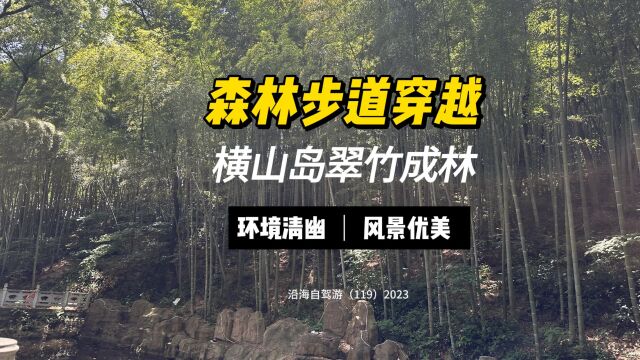 百日自驾三(119)顺横山岛上修筑的森林步道由北向南穿越,看岛上有些什么建筑,风景怎样