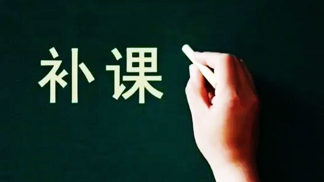 8名大学生办补习班挣9万被举报,教育局责令立刻停课并退回钱款