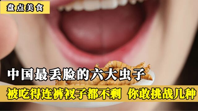 中国最丢脸的六大虫子,被吃得连裤衩子都不剩,你敢挑战几种呢?