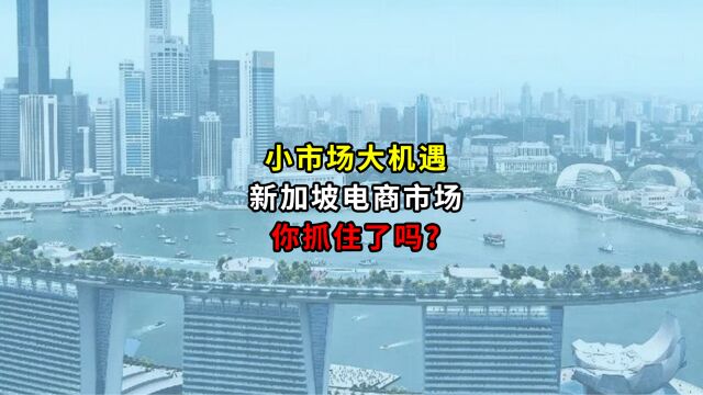 小市场大机遇新加坡电商市场 你抓住了吗?