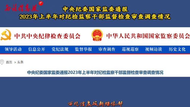 中央纪委国家监委通报2023年上半年对纪检监察干部监督检查审查调查情况