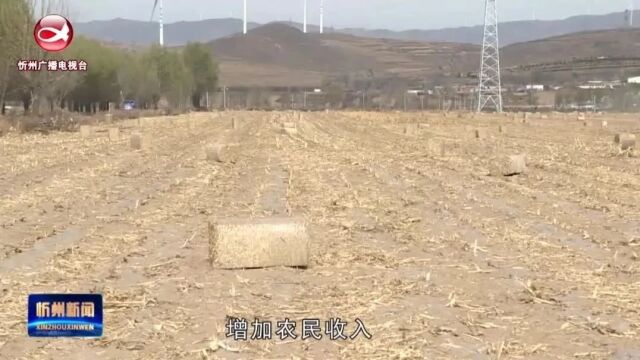 《新时代 新征程 新伟业》之我市重点领域专栏报道:繁峙:秸秆综合利用好 企业农民受益多