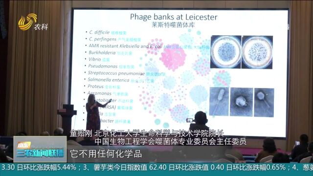 首个噬菌体国际联合实验室在济南成立,全球相关领域人员交流探讨