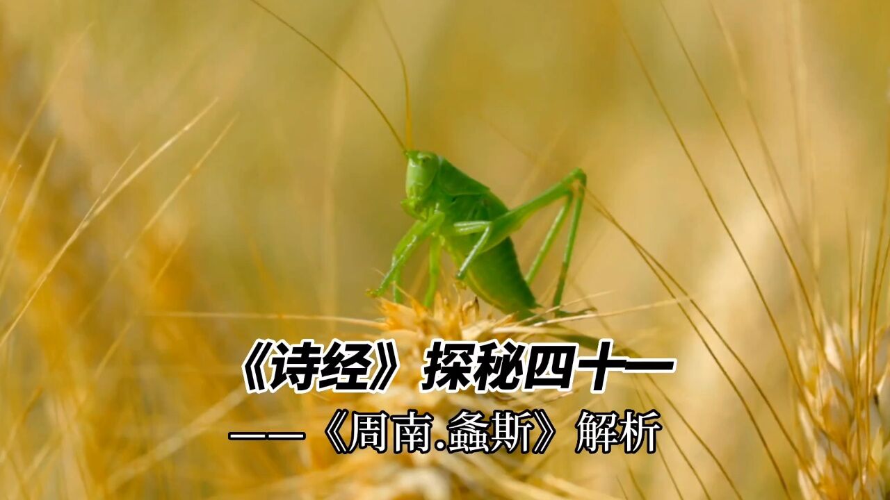 《诗经》探秘 四十一 ——《周南.螽斯》解析