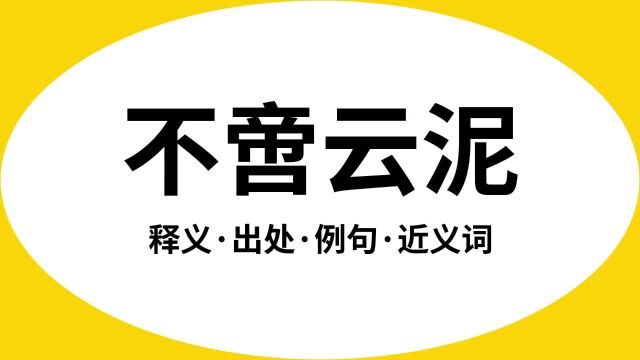 “不啻云泥”是什么意思?