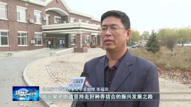 做精做强主导产业 助推乡村全面振兴⑬ | 北三家子街道:发展特色农业种植 助力农民增收