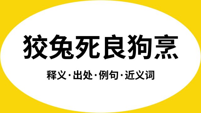 “狡兔死良狗烹”是什么意思?