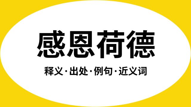 “感恩荷德”是什么意思?