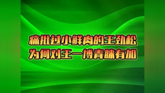 痛批过小鲜肉的王劲松为何对王一博青睐有加