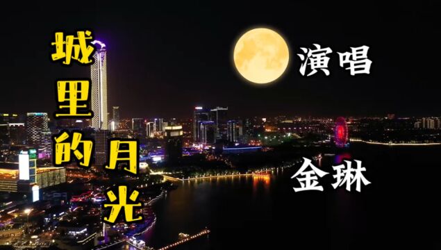 林琳演唱一曲经典老歌《城里的月光》清澈明亮的嗓音,好听至极