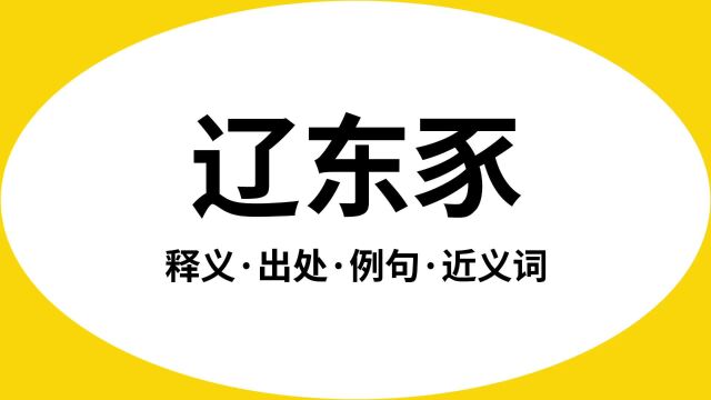 “辽东豕”是什么意思?