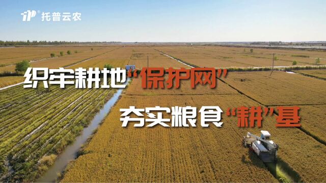 织牢耕地“保护网”,夯实粮食“耕”基!