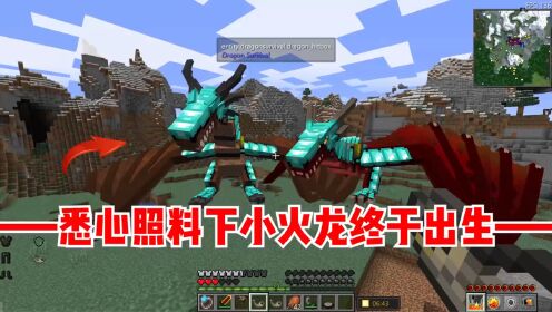 我的世界龙之生存14：经过我悉心照料，小火龙终于出生！_高清1080P在线观看平台_腾讯视频