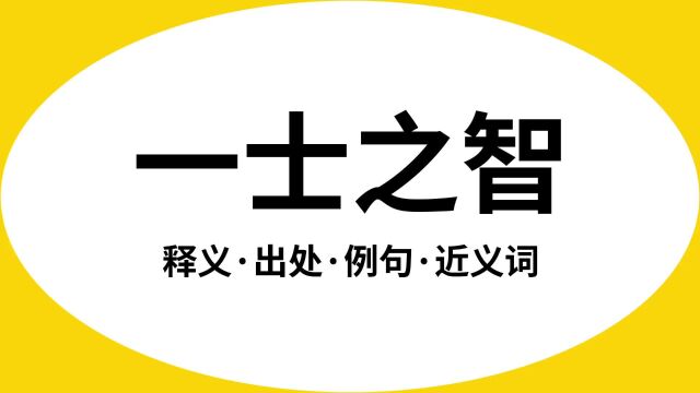 “一士之智”是什么意思?