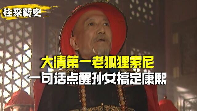 大清第一老狐狸索尼,一句话点醒孙女搞定康熙,稳坐皇后宝座