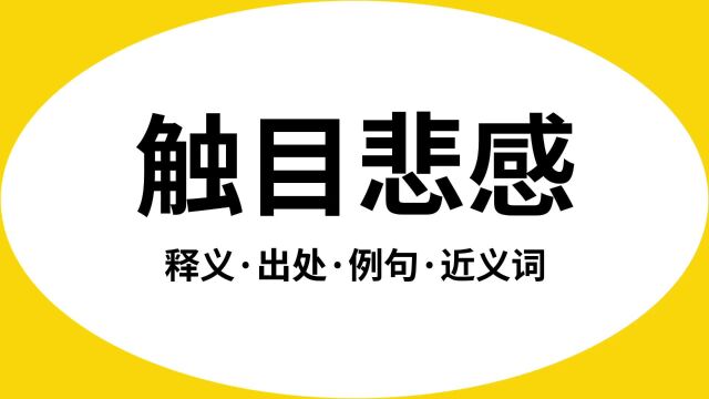 “触目悲感”是什么意思?