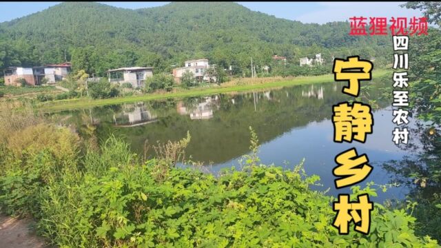 宁静夏日乡村景色,四川乐至农村