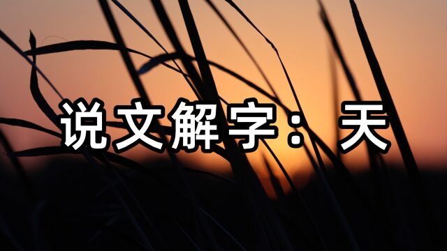 说文解字(3):天