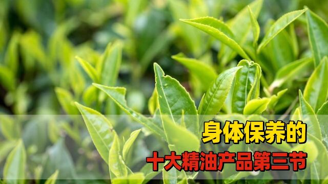 悟薏芳香生活指南,身体保养的十大精油产品第三节