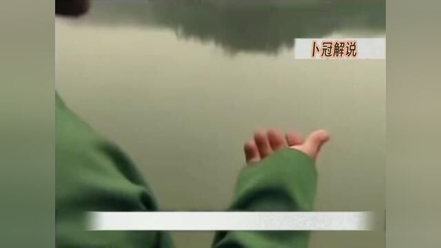 心善的水鬼救人无数被升为城隍爷 #民间故事 #影视解说