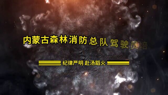 内蒙古森林消防总队驾驶员培训之队容风纪检查.