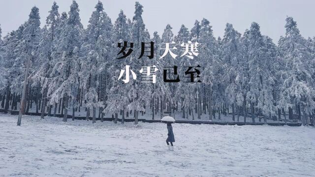 岁月天寒小雪已至,仙女山又冷了;此时若有君在侧何须淋雪作白头