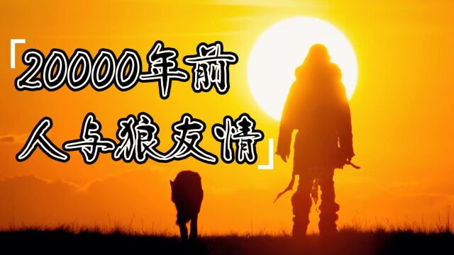 来之不易的信任,20000年前人与狼的友情的故事,善待你的宠物~