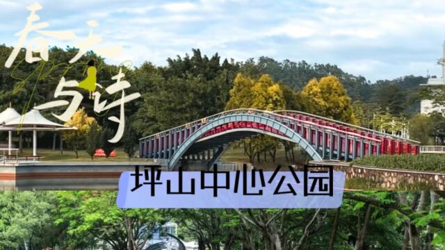 深圳免费遛娃好去处—龙岗坪山中心公园露营野餐挖沙