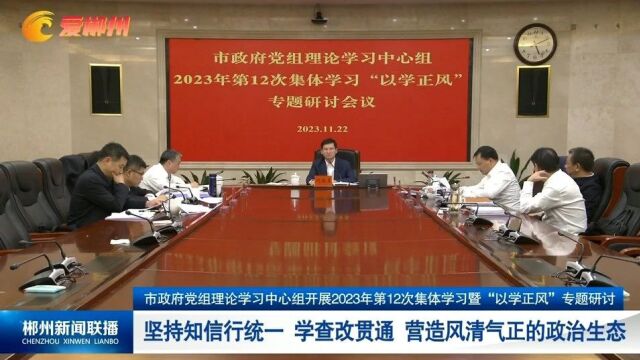 市政府党组理论学习中心组开展2023年第12次集体学习暨“以学正风”专题研讨