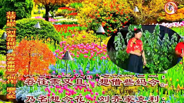 壮话山歌|《刘岸花批妈,鸽吞家巢更》演唱:韦姐等