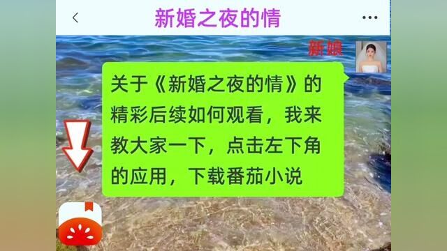 《新婚之夜的情》全集,点击左下方下载(番茄小说)精彩后续听不停#番茄小说 #小说