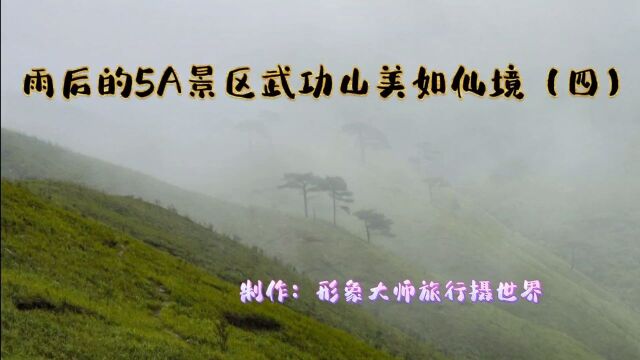 雨后的武功山美如仙境!