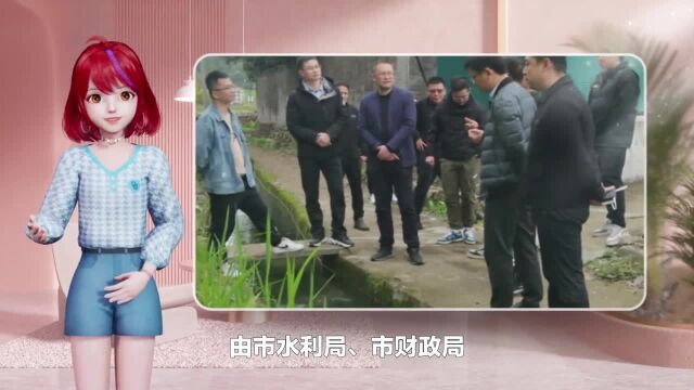 市联合调研组赴永嘉开展农田灌溉工作调研(图)