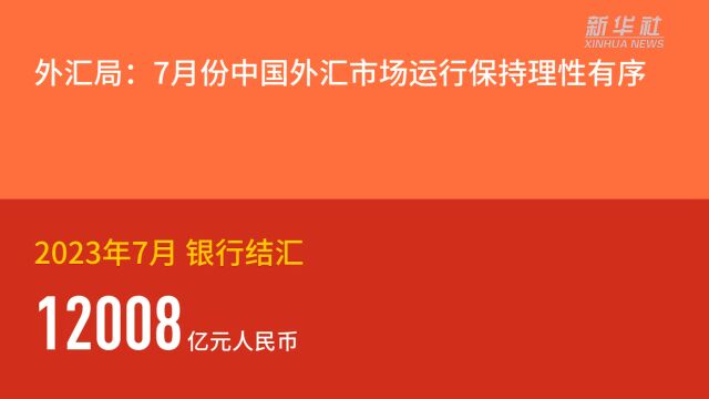 外汇局:7月份中国外汇市场运行保持理性有序