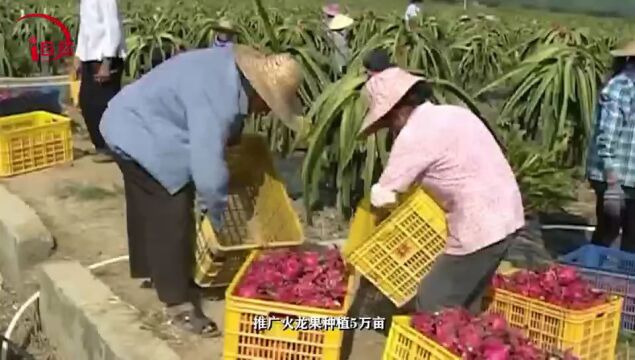 石山染翠满眼新 | 全国生态日特别策划