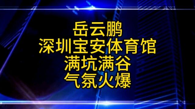 岳云鹏深圳专场观众满坑满谷,带病坚持演出,现场依然火爆