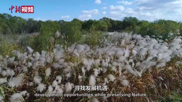 时政微视频|习近平的黄河情