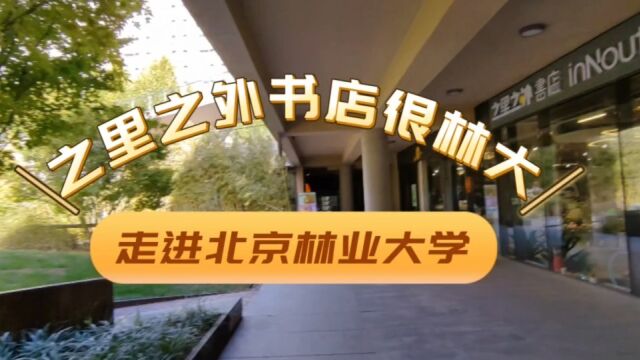 走进之里之外书店,感受北京林业大学园林特色美/徐景洲