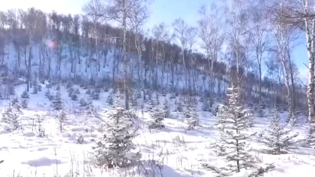 河北承德:塞罕晴雪,壮美如画