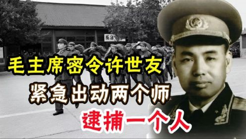 1971年，许世友收到毛主席的命令：出动两个师，逮捕王维国