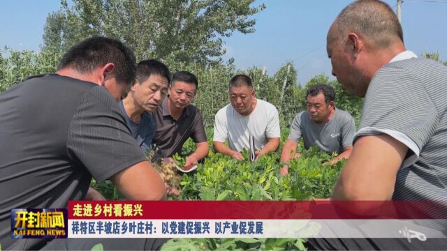 祥符区半坡店乡叶庄村:以党建促振兴 以产业促发展